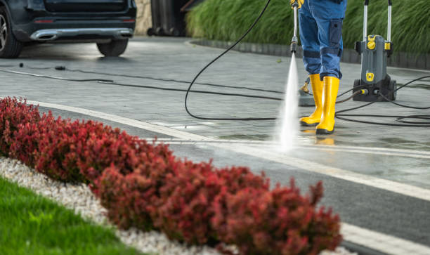 Best Spring Cleaning  in Newcastle, WA